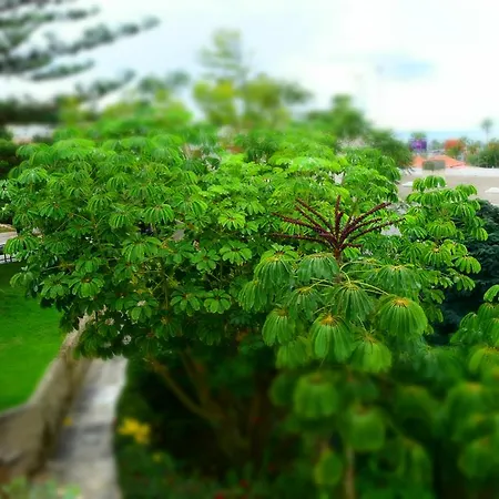 Apartament The Americas