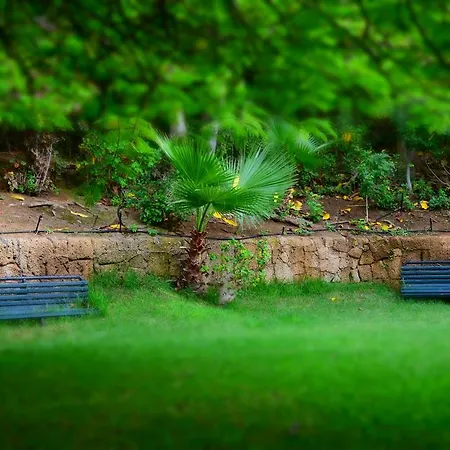 The Americas * 플라야데라스아메리카스