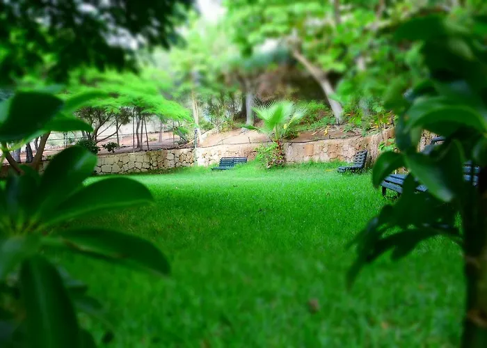 The Americas Apartman *