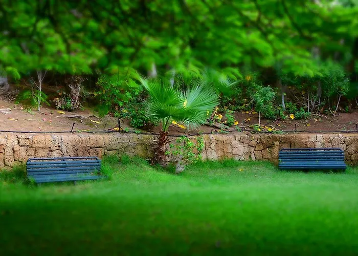 The Americas * Playa de las Americas (Tenerife)